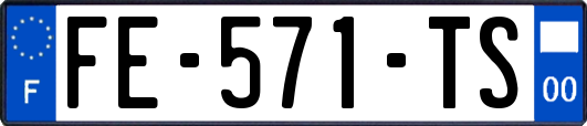FE-571-TS