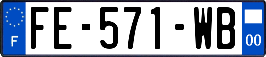 FE-571-WB