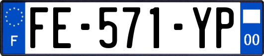 FE-571-YP