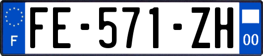 FE-571-ZH