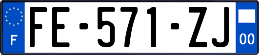 FE-571-ZJ