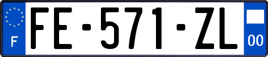 FE-571-ZL