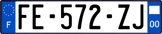 FE-572-ZJ