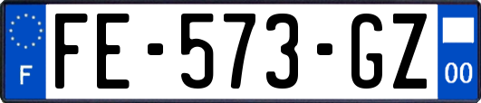 FE-573-GZ