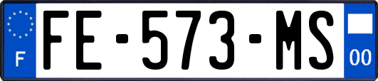 FE-573-MS