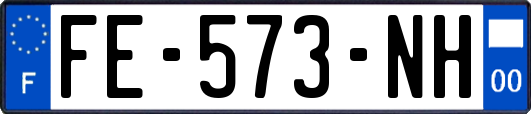 FE-573-NH