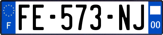 FE-573-NJ