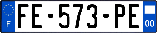 FE-573-PE