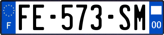 FE-573-SM