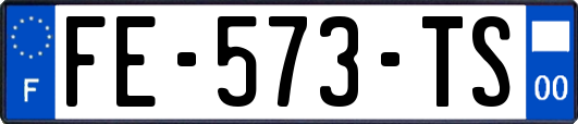 FE-573-TS