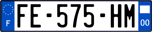 FE-575-HM