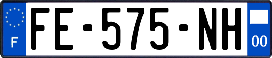 FE-575-NH