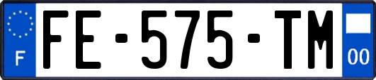 FE-575-TM