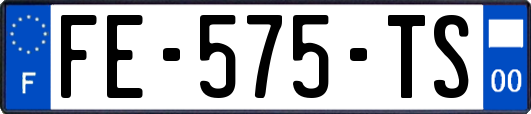 FE-575-TS