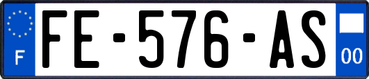 FE-576-AS