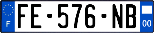 FE-576-NB