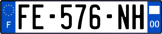 FE-576-NH