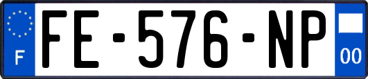 FE-576-NP