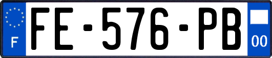 FE-576-PB