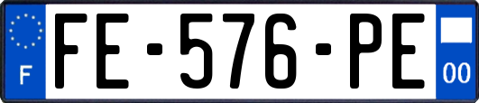 FE-576-PE