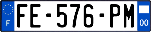 FE-576-PM