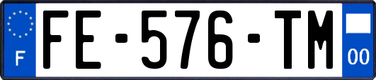 FE-576-TM