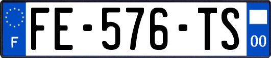 FE-576-TS