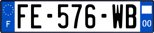 FE-576-WB