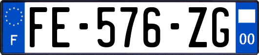 FE-576-ZG