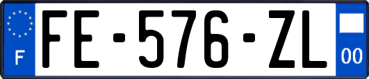 FE-576-ZL