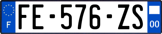 FE-576-ZS