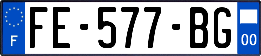 FE-577-BG