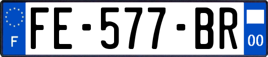 FE-577-BR
