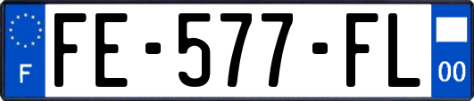 FE-577-FL