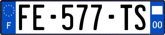 FE-577-TS