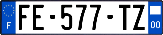 FE-577-TZ