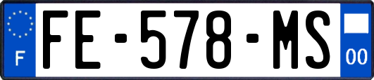 FE-578-MS