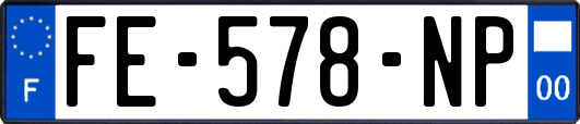 FE-578-NP