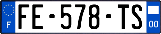 FE-578-TS