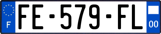FE-579-FL
