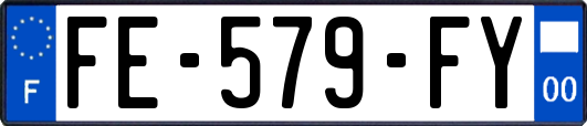 FE-579-FY