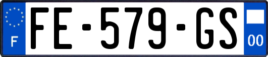 FE-579-GS
