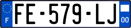 FE-579-LJ