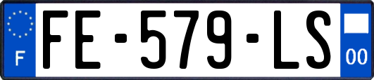 FE-579-LS
