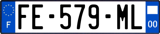 FE-579-ML