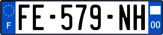 FE-579-NH
