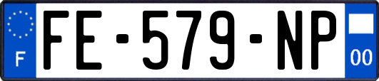 FE-579-NP