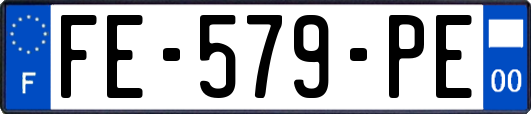FE-579-PE