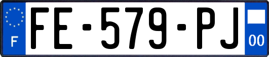 FE-579-PJ