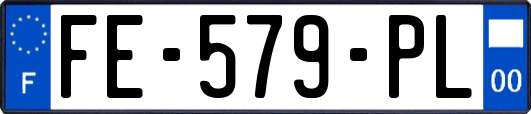 FE-579-PL